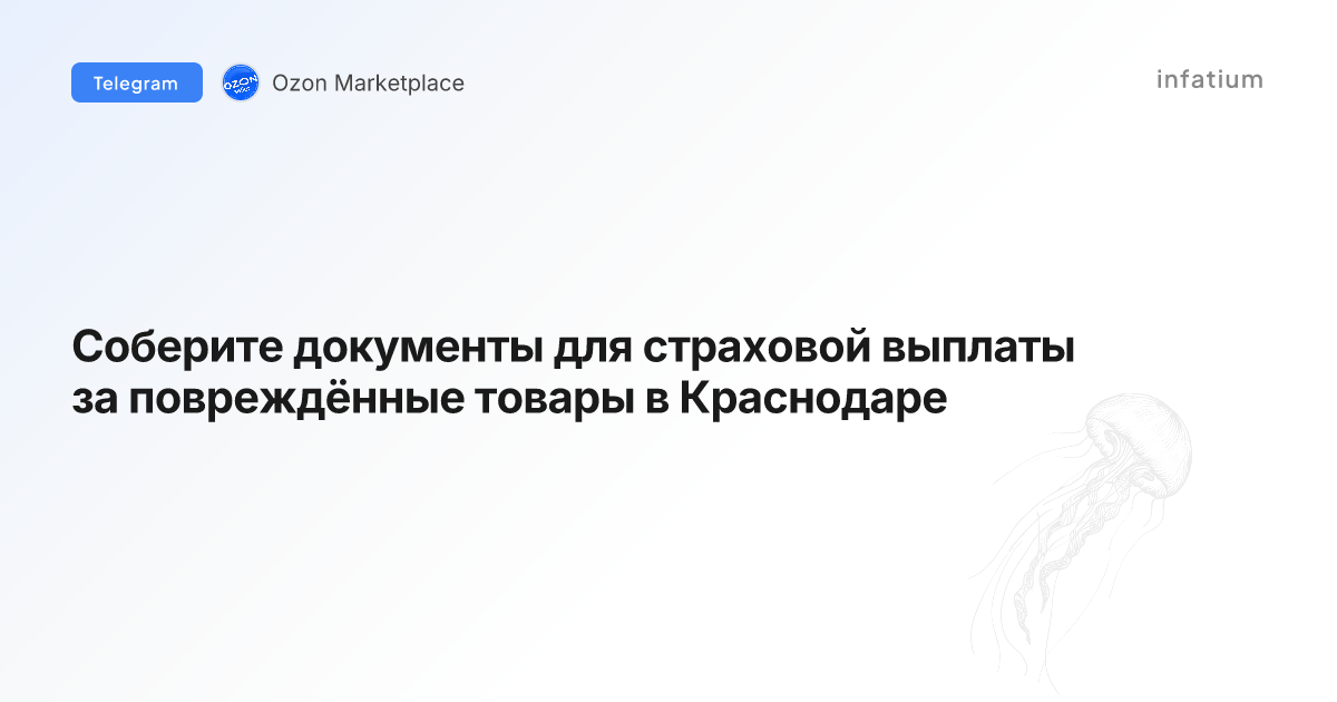 Соберите документы для страховой выплаты за повреждённые товары в Краснодаре