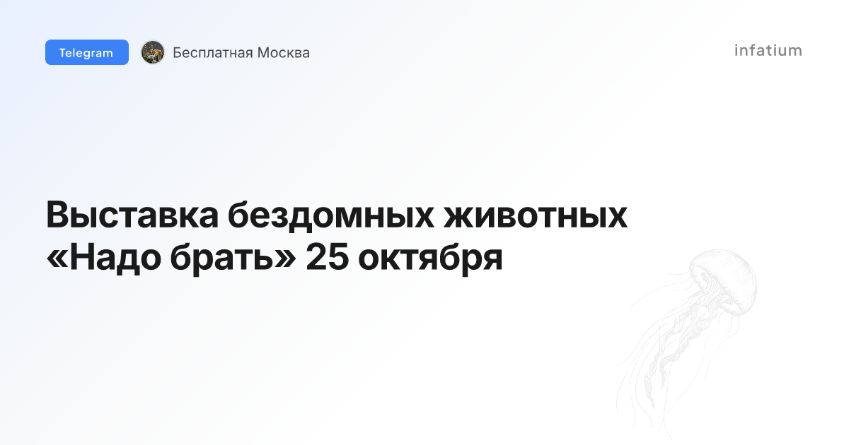 Выставка бездомных животных «Надо брать» 25 октября
