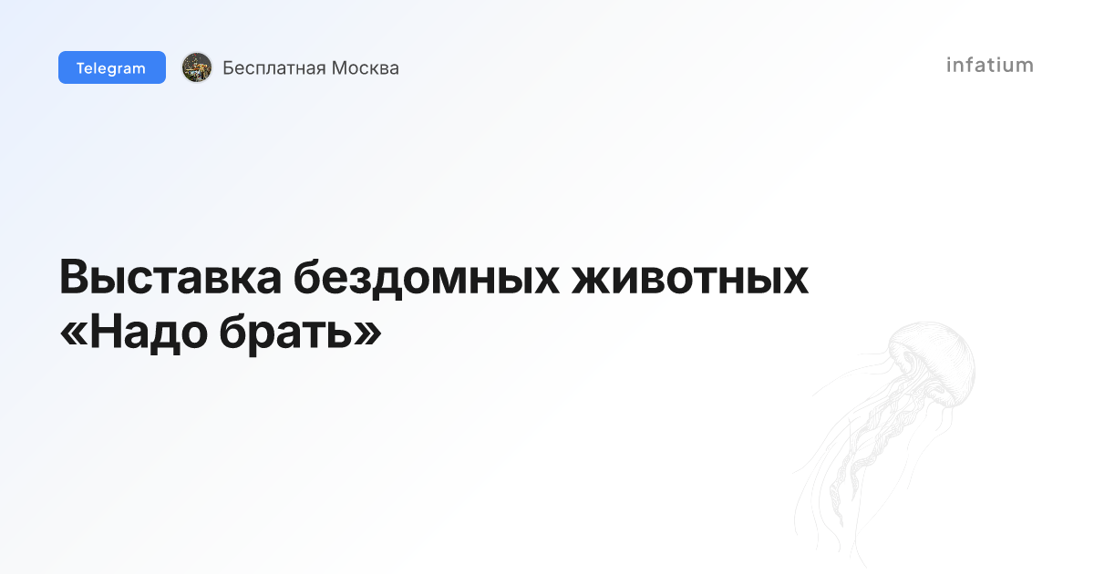 Выставка бездомных животных «Надо брать»