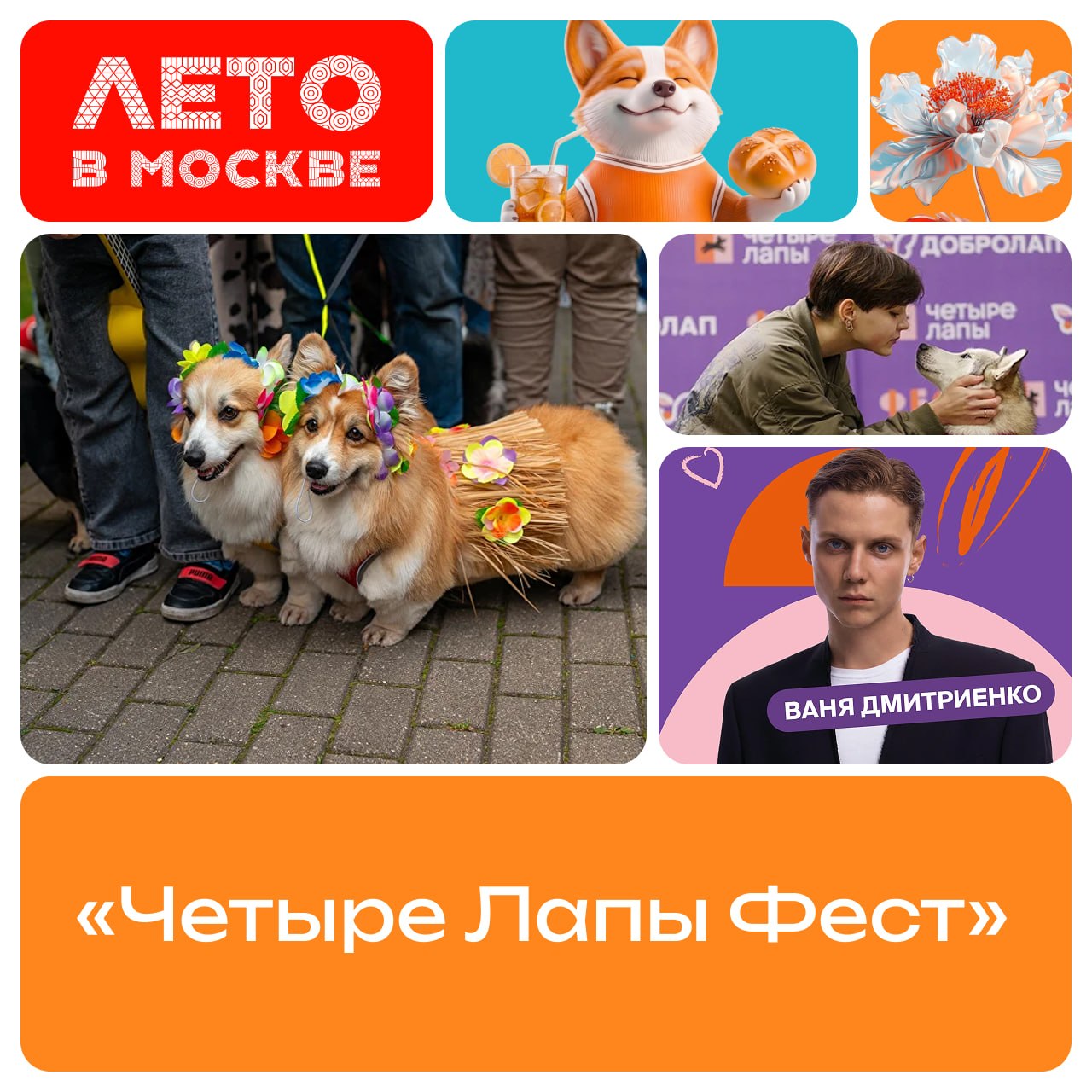 Фестиваль «Четыре лапы фест» стартовал в Измайловском парке