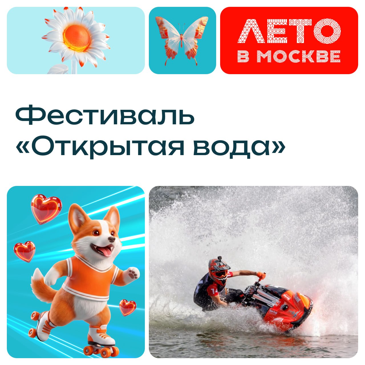 Фестиваль «Открытая вода» на Гребном канале