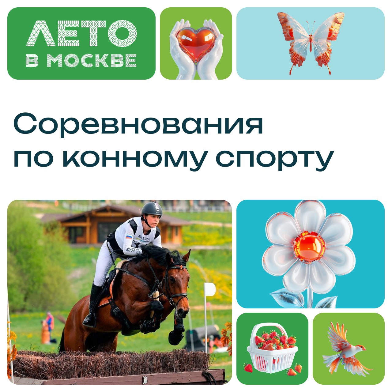 Конные соревнования на ВДНХ 30 августа