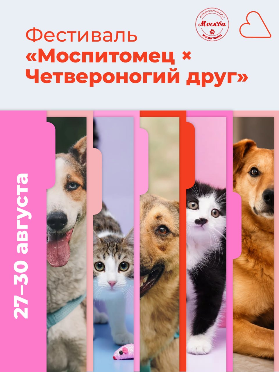 Пушистые гости фестиваля «Моспитомец»