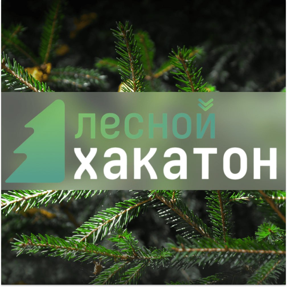 Лесной хакатон 2026: ИИ для защиты лесов