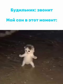 Успей на фестивали «Лета в Москве»